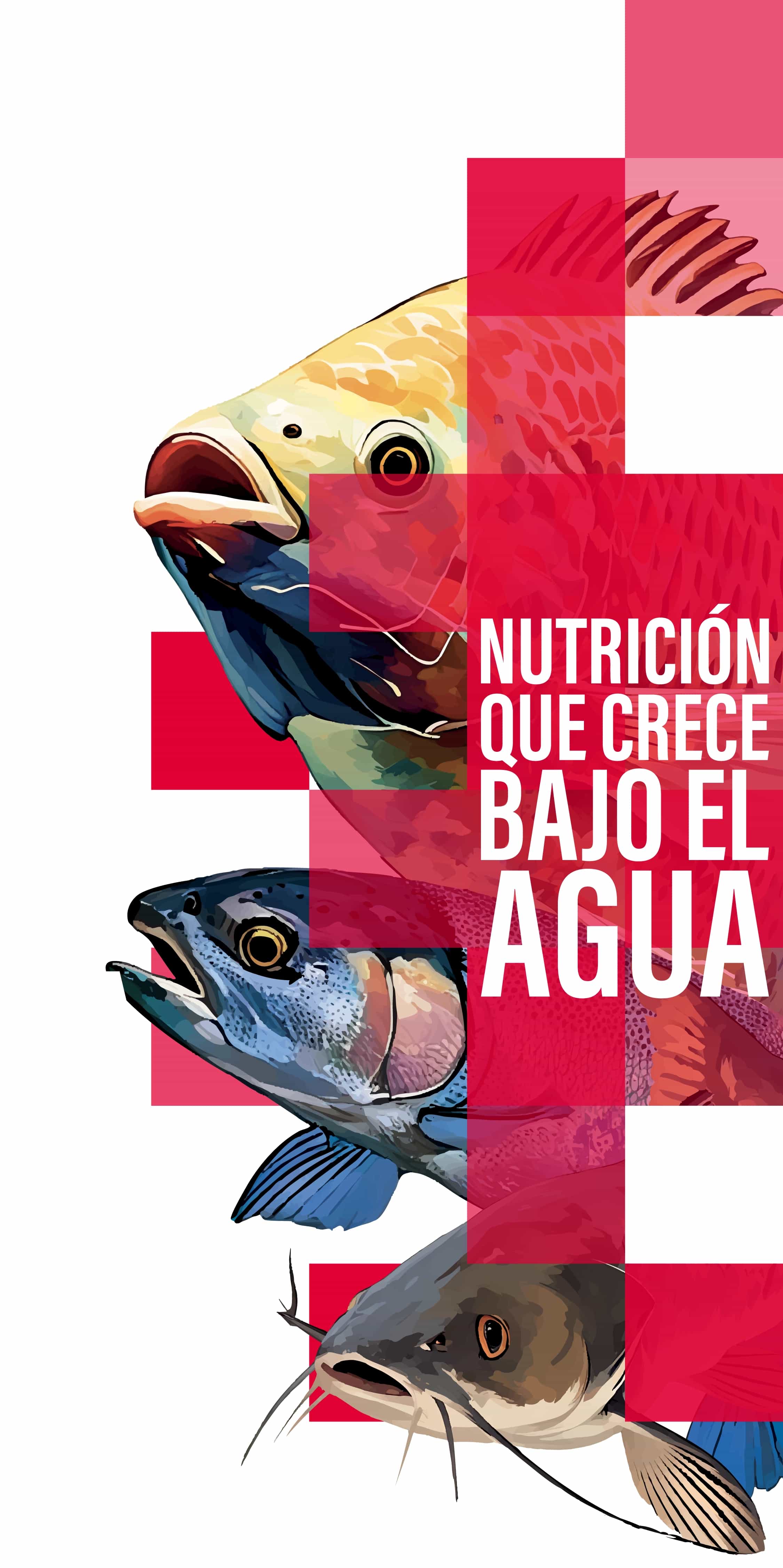 Nutrición que crece bajo el agua — Tilapia, Trucha, Bagre