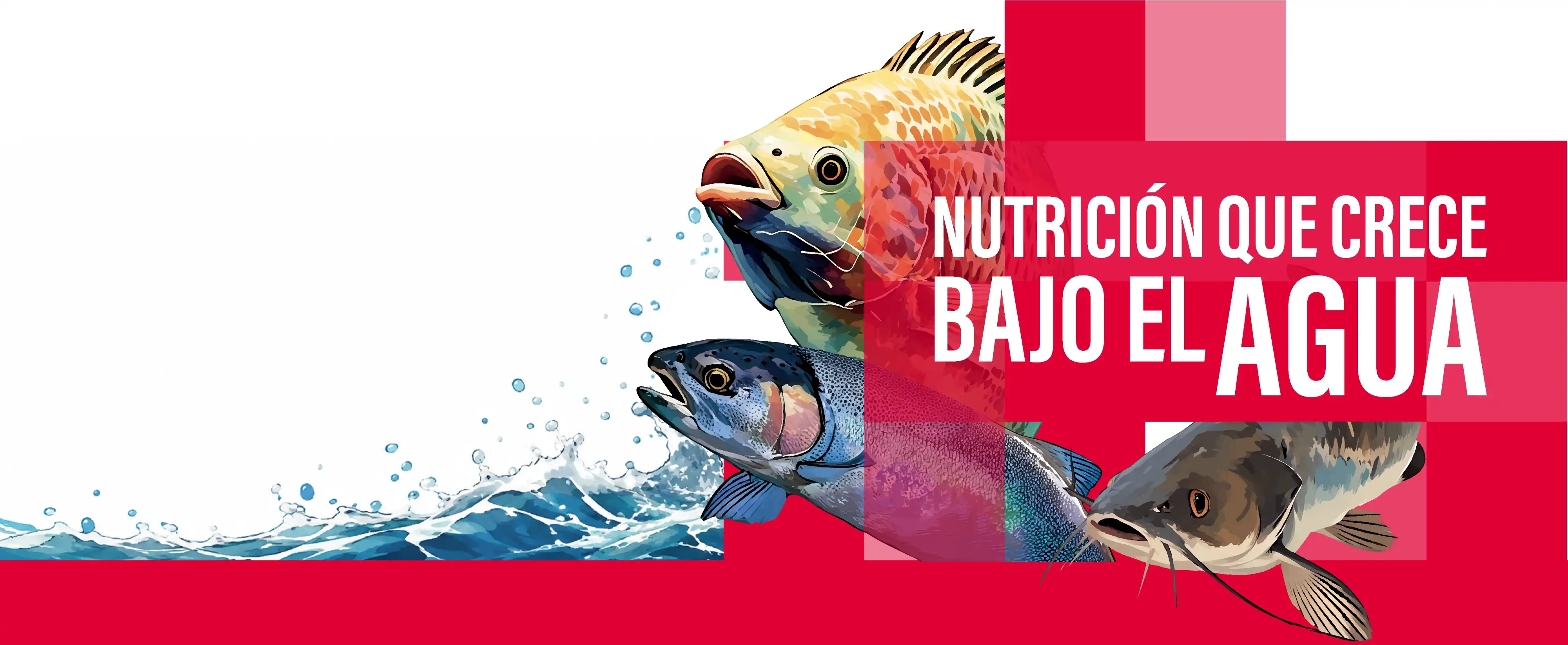 Nutrición que crece bajo el agua — Tilapia, Trucha, Bagre