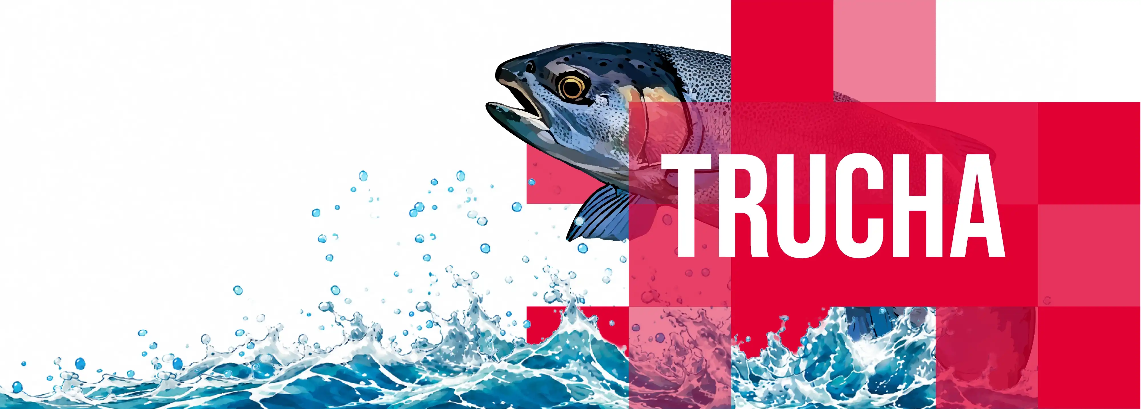 Nutrición que crece bajo el agua — Tilapia, Trucha, Bagre