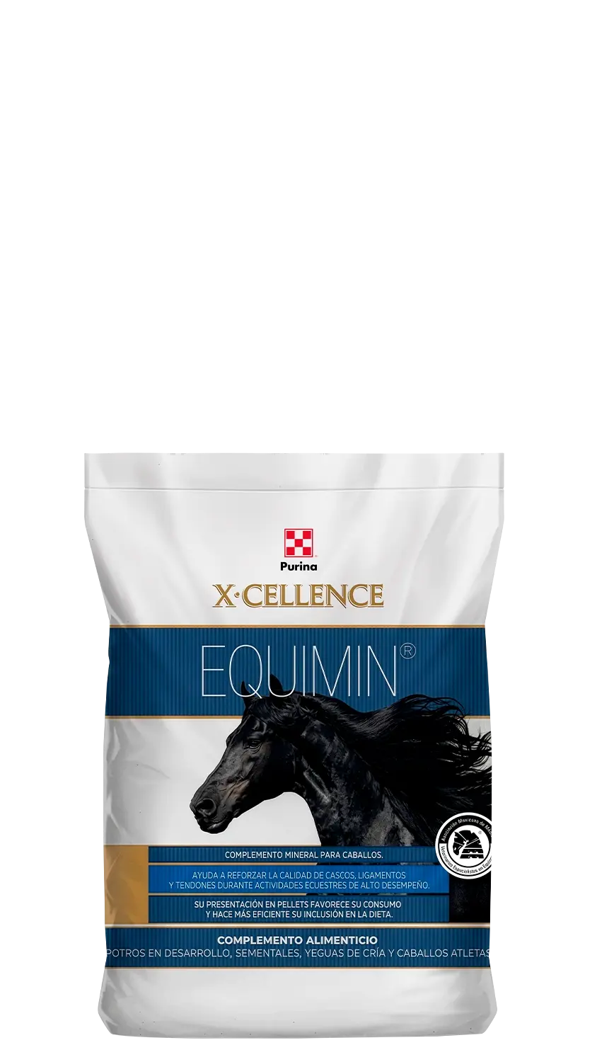 Suplemento Purina Equimin