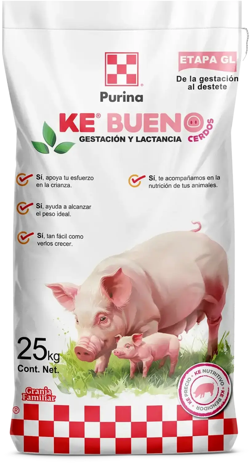 Ke Bueno Gestación y Lactancia etapa cuatro